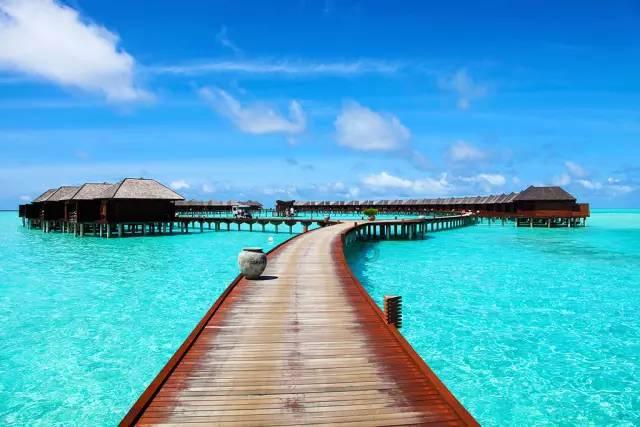 白玉兰酒店，海派文化缔造的时尚潮流旅宿优选